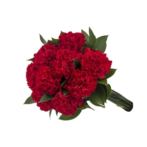 Buque de Cravos Vermelhos | Flores Vip - Floricultura Online